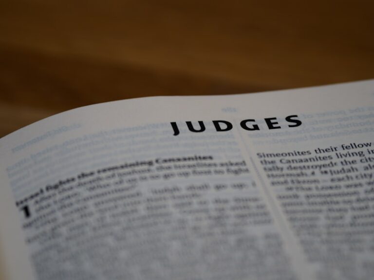 Absolute Judgment: Testing the Limits of Human Perception