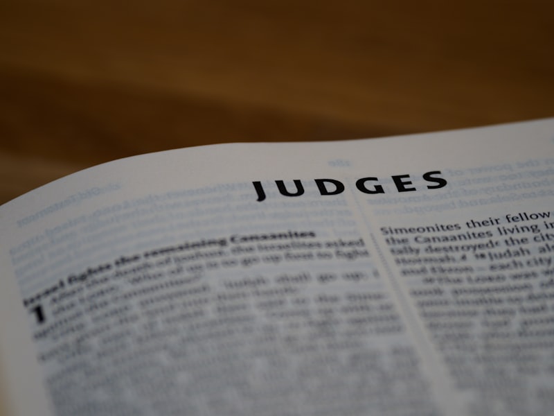 Absolute Judgment: Testing the Limits of Human Perception