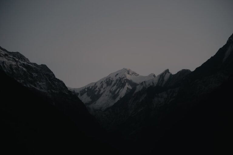 Achromatopsia: Seeing the World in Shades of Gray