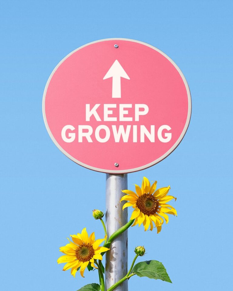 Adult Development: Why Your Growth Never Truly Ends