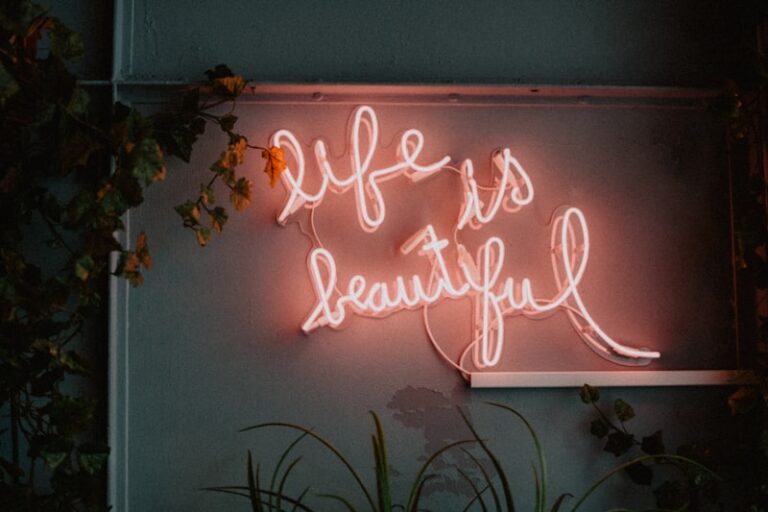 Aesthetic Preference: Finding Beauty in the Everyday