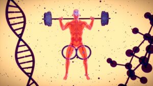 Amelioration: The Science of Your Personal Evolution