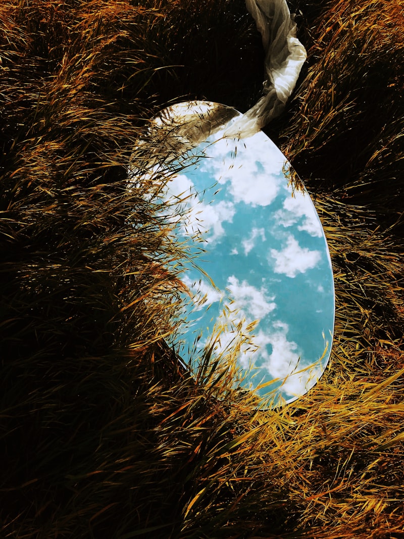 Anschauung: Seeing Reality Beyond the Surface