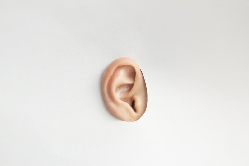 Auditory Perception: How Your Ears Shape Your Reality