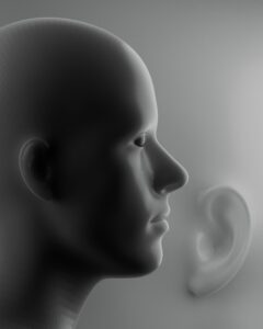 Auditory Perception: Measuring the Sounds of the Mind