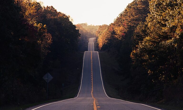 Baseline Measures: Your Essential Roadmap for Growth