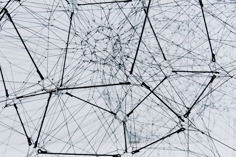 Bayesian Networks: Mapping the Complexity of Human Thought