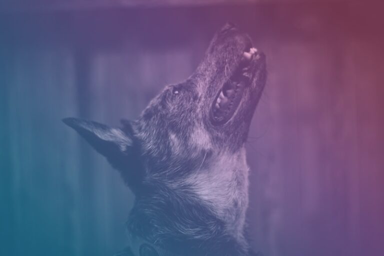 Behavioral Surveillance: Productivity’s Silent Watchdog