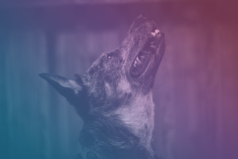 Behavioral Surveillance: Productivity’s Silent Watchdog
