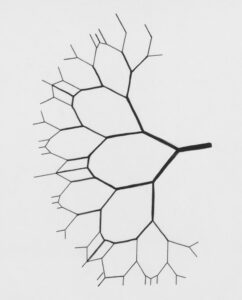 Biological Architecture: Mapping the Roots of Behavior