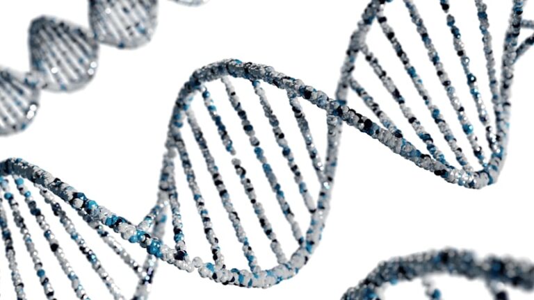 Biological Dimorphism: Why We Are Wired to Differ
