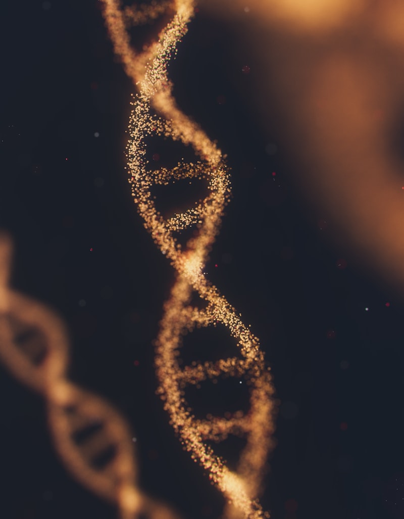 Biological Drives: The Science of Human Connection
