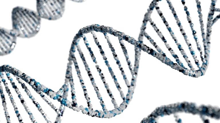 Biosynthesis: How Your Biology Shapes Your Mind