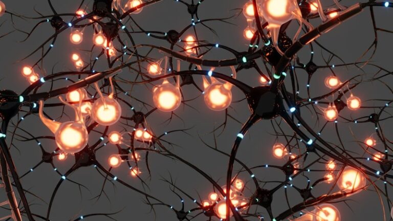 Bipolar Neurons: How Our Senses Process Reality