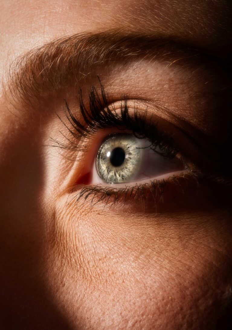 Brightness Adaptation: How Your Eyes Master Light
