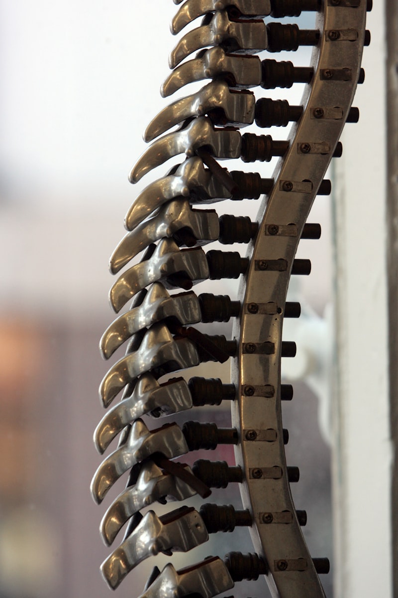 Brown-Sequard Syndrome: Decoding Split Spinal Pathways