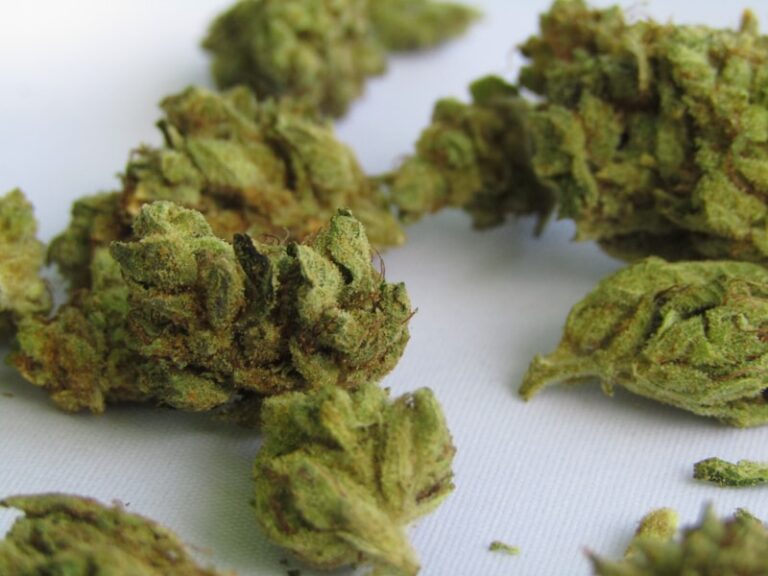 Cannabinoids: Decoding Your Brain’s Hidden Chemical Language