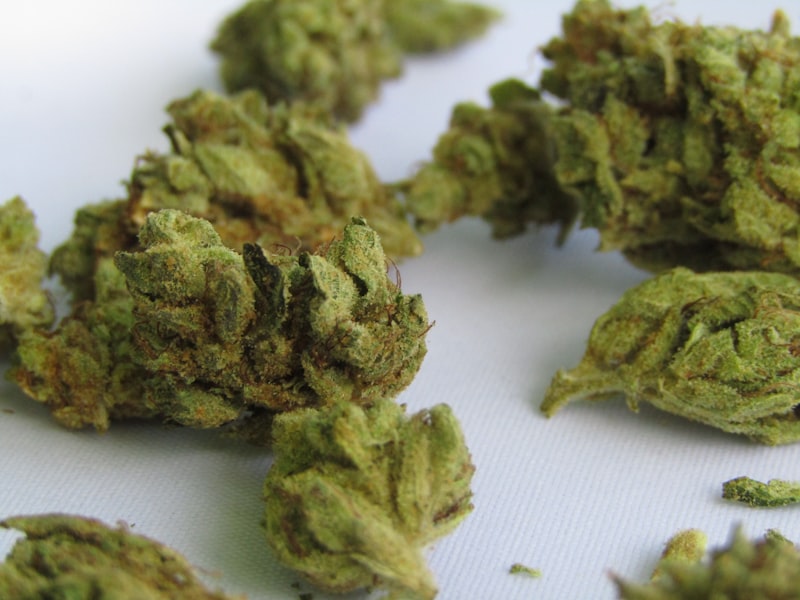 Cannabinoids: Decoding Your Brain’s Hidden Chemical Language