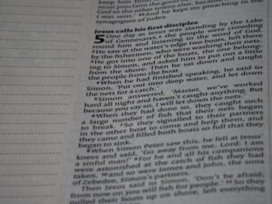 Case Alternation: How Grammar Rewires Your Mental Map
