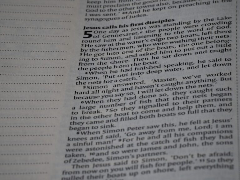 Case Alternation: How Grammar Rewires Your Mental Map