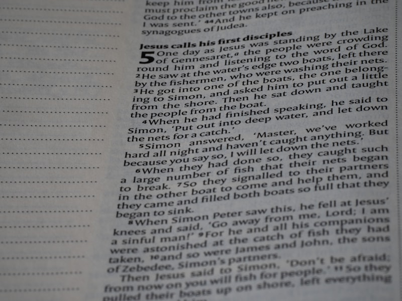 Case Alternation: How Grammar Rewires Your Mental Map