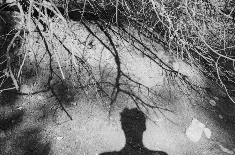 Causal Inference: Mapping the Roots of Human Behavior