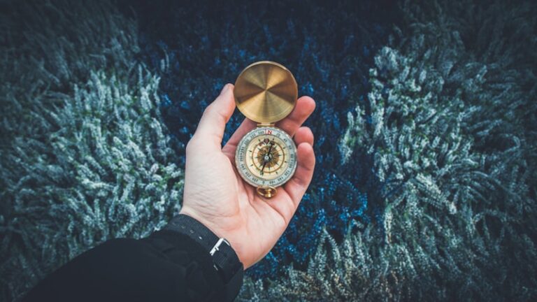 Character Development: Architecting Your Moral Compass