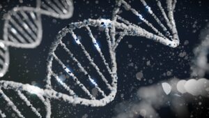 COMT Enzyme: How Your Genetics Master Mood and Focus