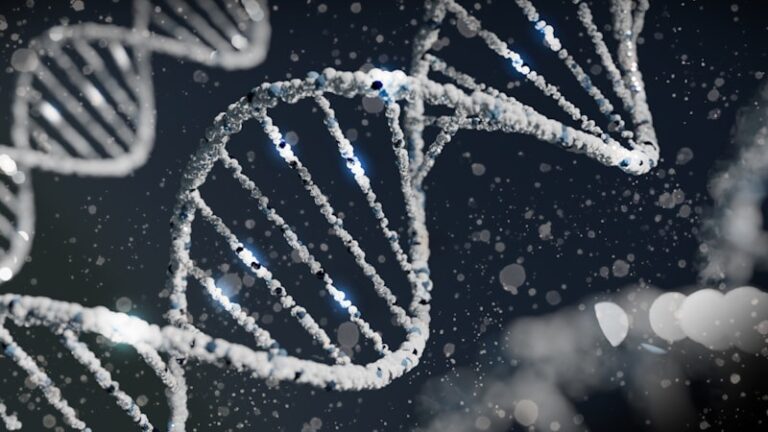 COMT Enzyme: How Your Genetics Master Mood and Focus