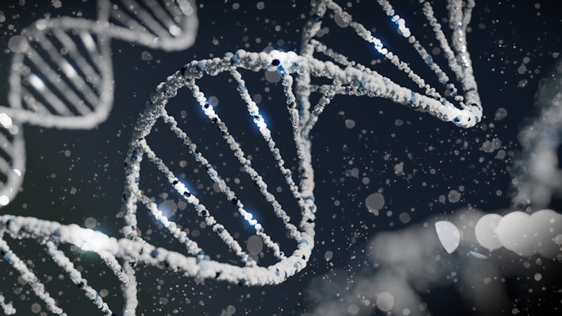 COMT Enzyme: How Your Genetics Master Mood and Focus