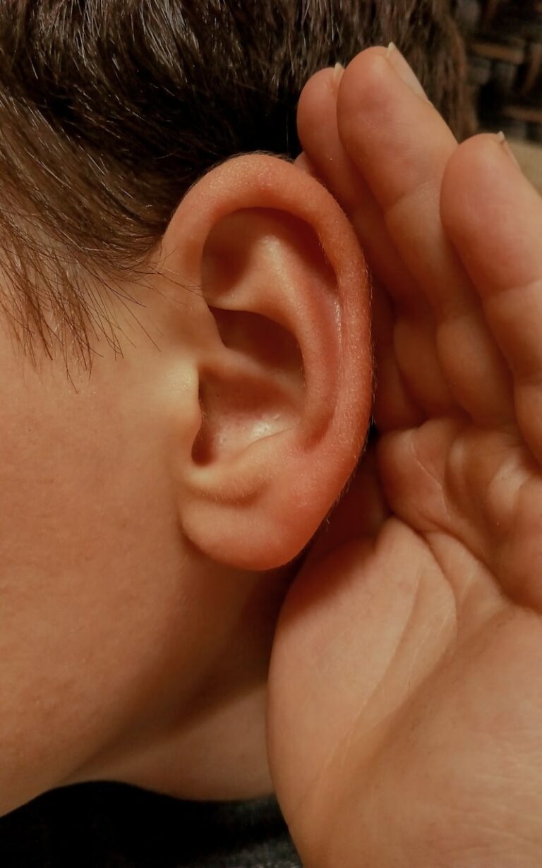 Congenital Deafness: Early Sensory Growth and Development