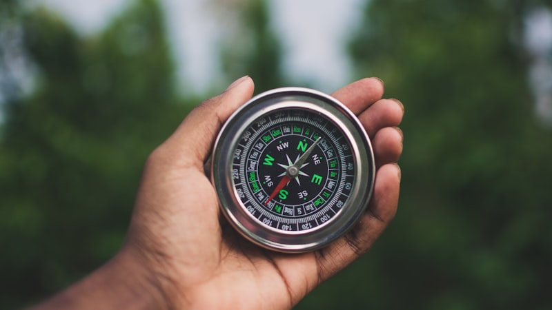 Conscience: Harnessing Your Internal Moral Compass