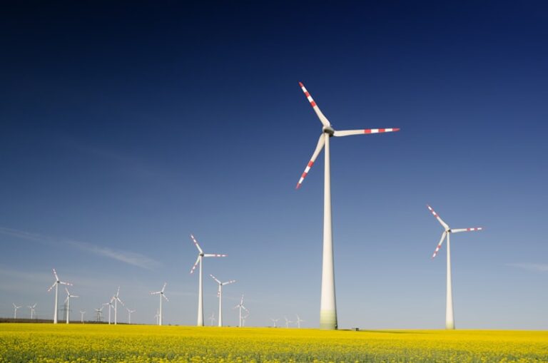 Conservation Withdrawal: Master the Art of Protecting Energy