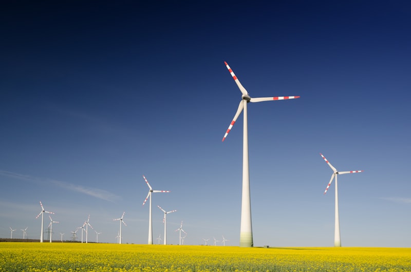Conservation Withdrawal: Master the Art of Protecting Energy