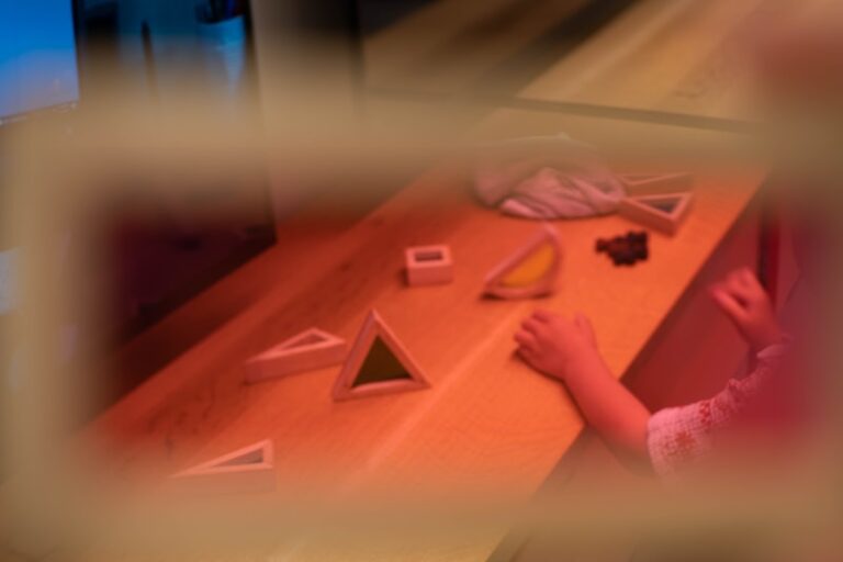 Constructional Dyspraxia: Mastering Spatial Organization