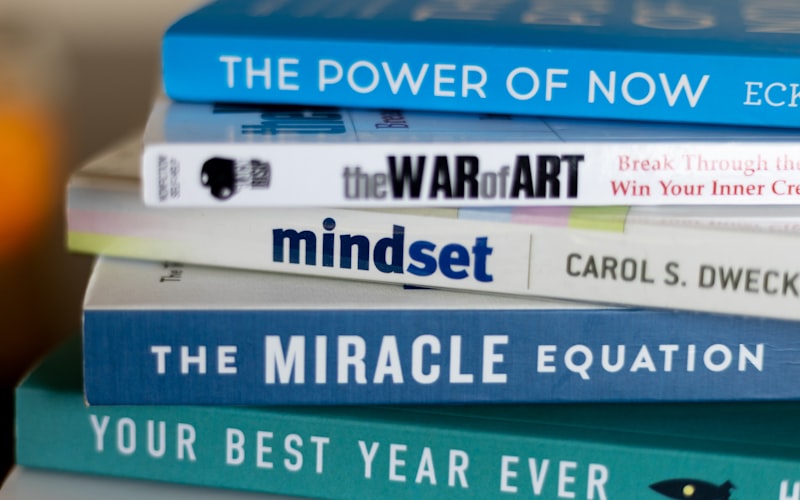 Consumer Innovation: The Mindset of the Everyday Maker