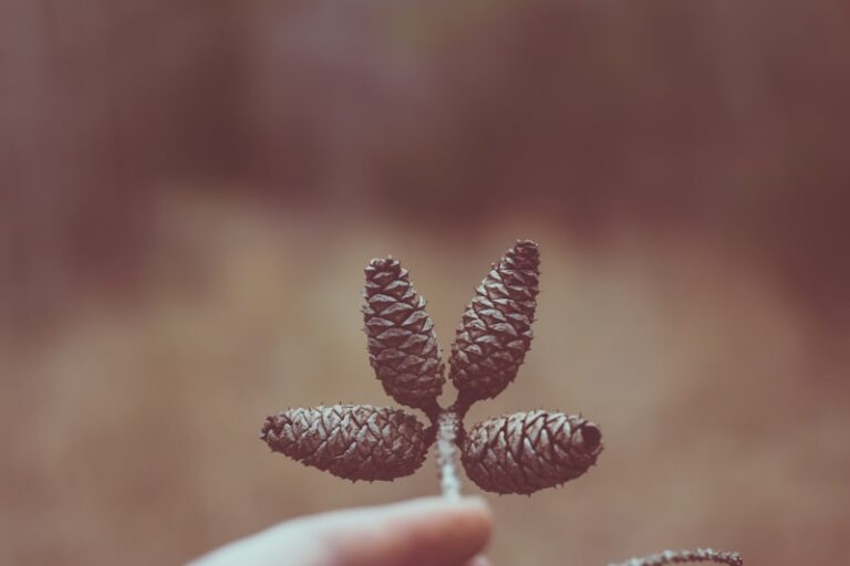 Countershading: How Nature Tricks Your Perception