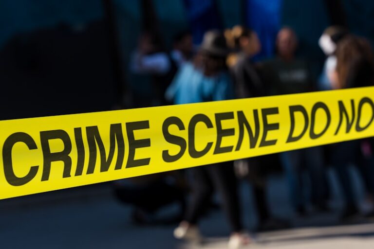 Criminal Psychology: Decoding Patterns in Crime Data
