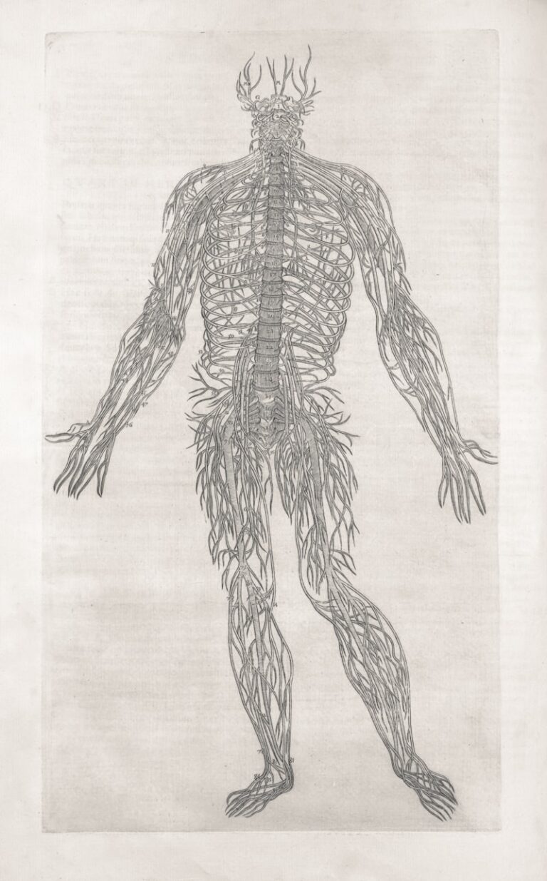 Crossed-Factor Design: Mapping the Roots of Human Behavior