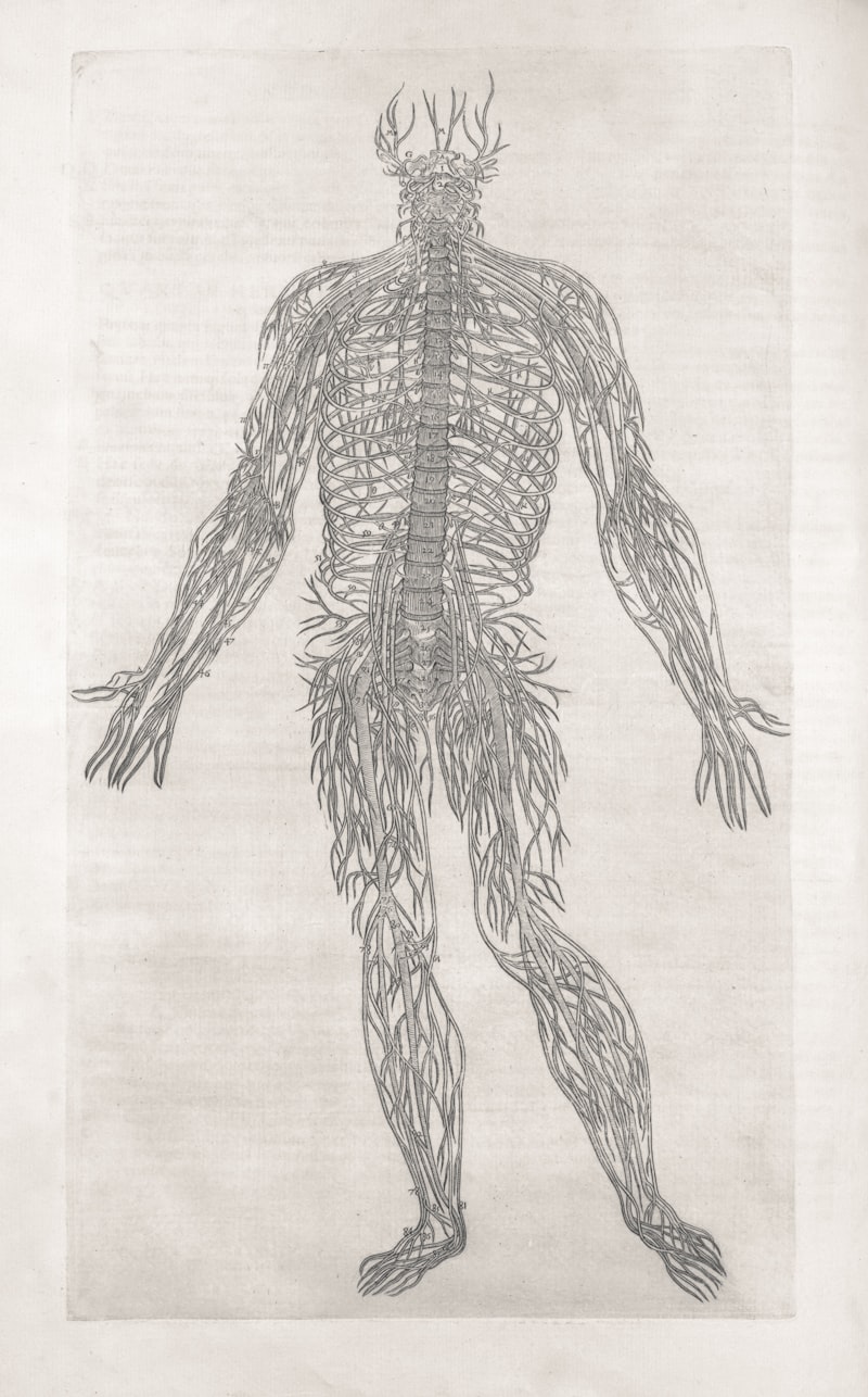 Crossed-Factor Design: Mapping the Roots of Human Behavior