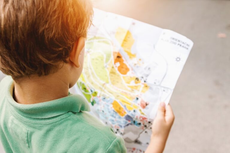 Cumulative Records: Mapping Your Child's Hidden Potential