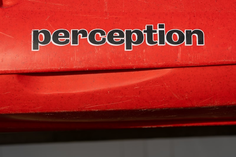 Cutaneous Perception: More Than Just a Physical Sensation