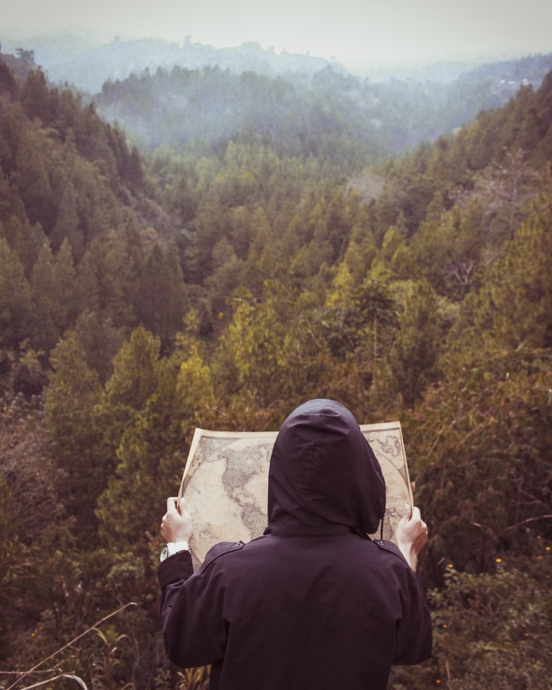 Descriptive Research: Mapping the Human Landscape