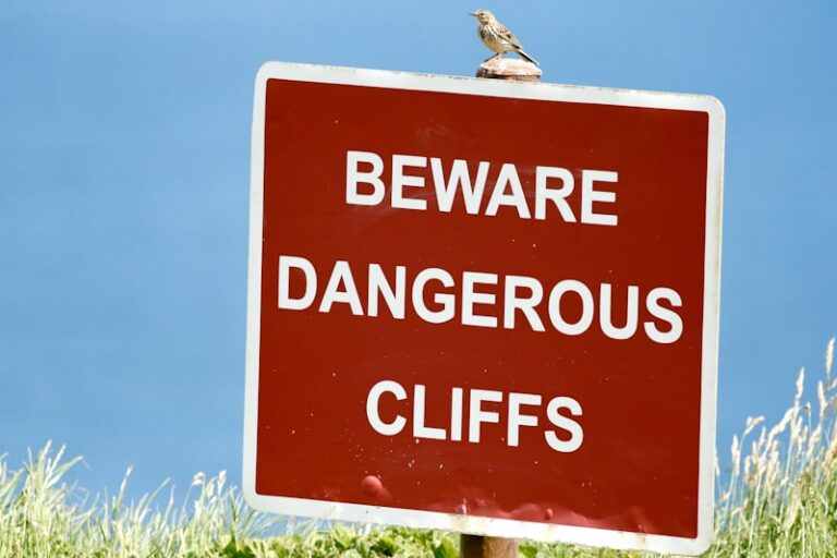Destructive Obedience: Why We Follow Harmful Commands