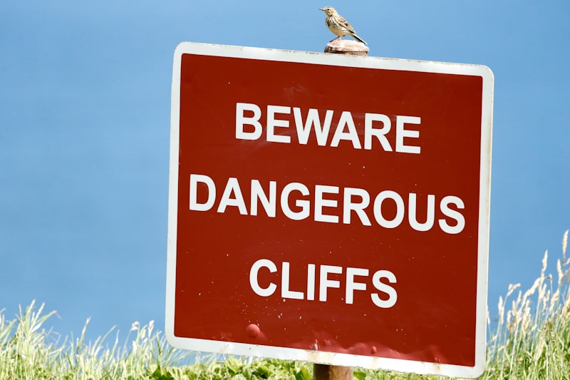 Destructive Obedience: Why We Follow Harmful Commands