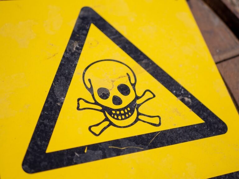 Disinhibition: Why We Take Dangerous Risks