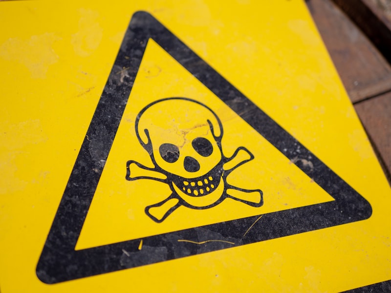 Disinhibition: Why We Take Dangerous Risks