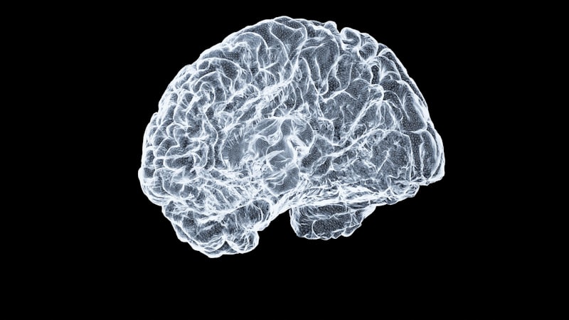 Early-Selection Theory: How Your Brain Filters the Noise
