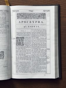 Echographia: The Mystery of Writing Without Meaning
