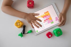 Educational Gamification: The Psychology of Mastering Play